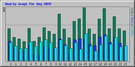 Hourly usage for May 2025