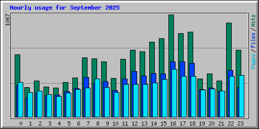 Hourly usage for September 2025