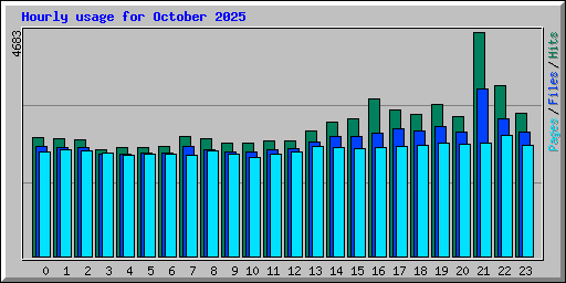 Hourly usage for October 2025