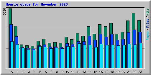 Hourly usage for November 2025
