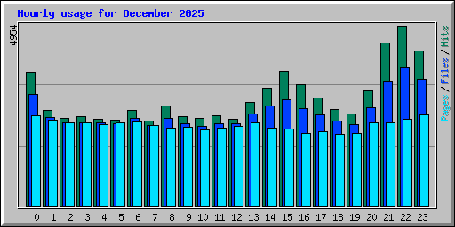 Hourly usage for December 2025
