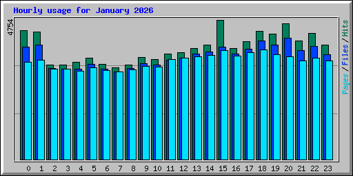 Hourly usage for January 2026