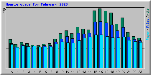 Hourly usage for February 2026