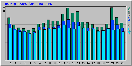 Hourly usage for June 2026