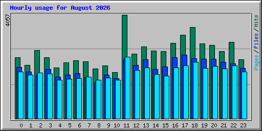 Hourly usage for August 2026